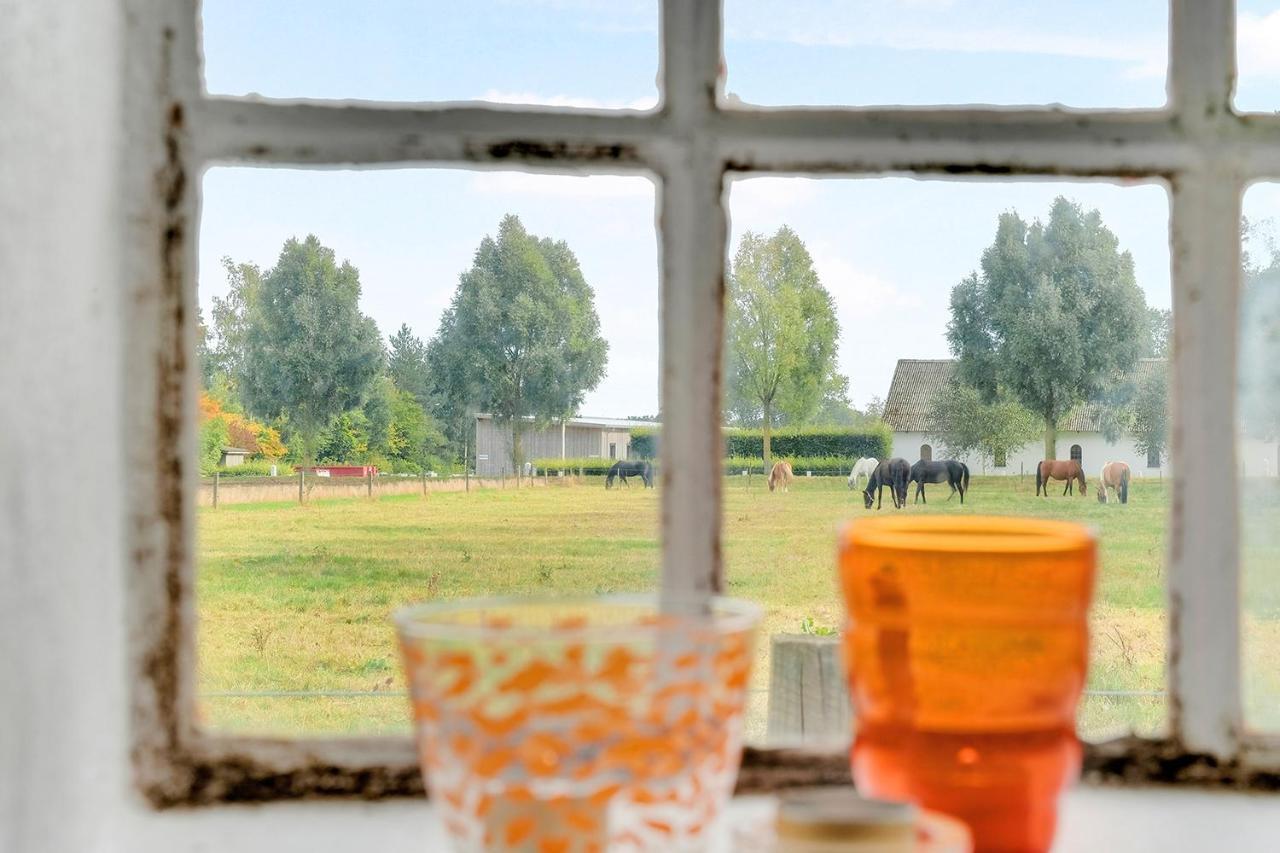 阿罗科住宿加早餐旅馆 尼堡 外观 照片